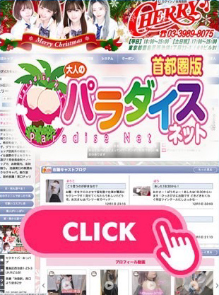 パラダイスネット